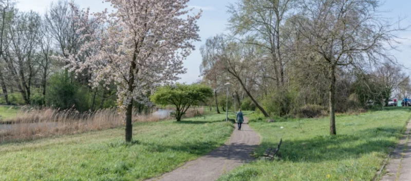 Walk on Tuesday, April 14