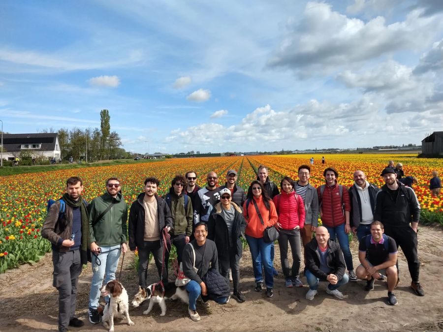 Flower fields